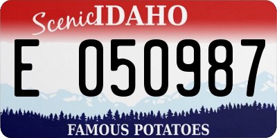 ID license plate E050987