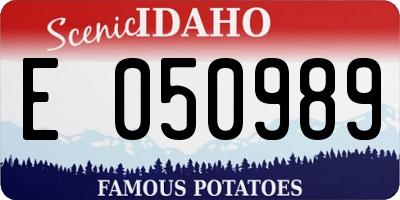 ID license plate E050989
