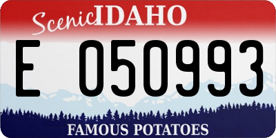 ID license plate E050993