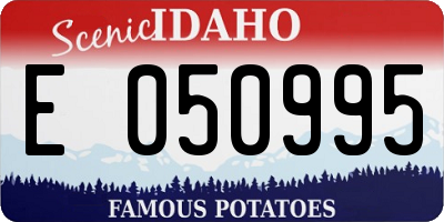 ID license plate E050995
