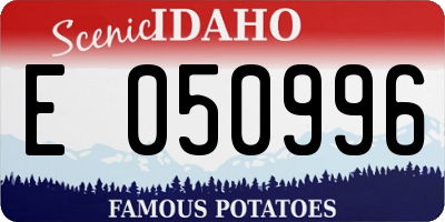 ID license plate E050996