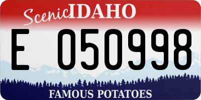 ID license plate E050998