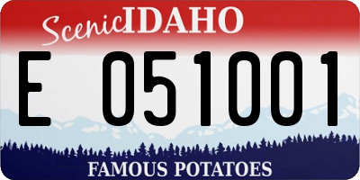 ID license plate E051001