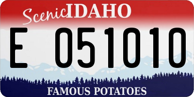 ID license plate E051010