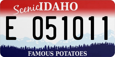 ID license plate E051011