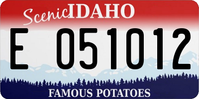ID license plate E051012