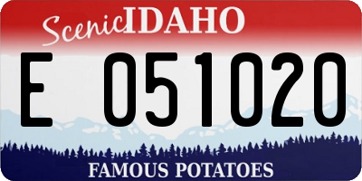 ID license plate E051020
