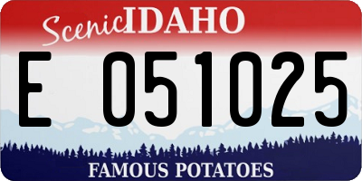 ID license plate E051025