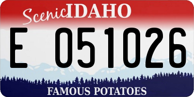 ID license plate E051026