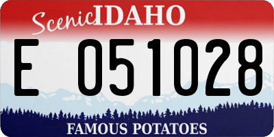 ID license plate E051028