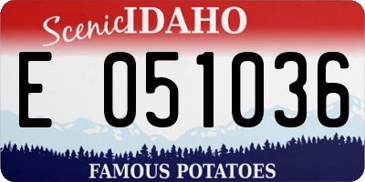 ID license plate E051036