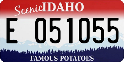 ID license plate E051055