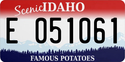 ID license plate E051061