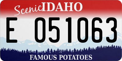 ID license plate E051063
