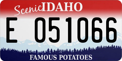 ID license plate E051066
