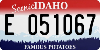 ID license plate E051067