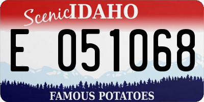 ID license plate E051068