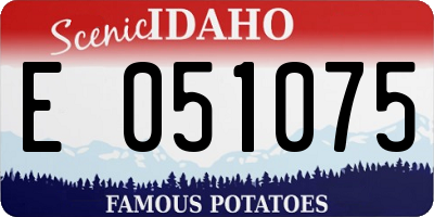 ID license plate E051075