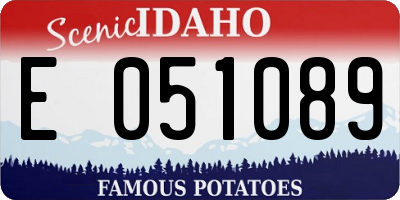 ID license plate E051089