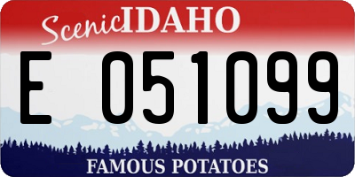 ID license plate E051099