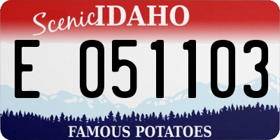 ID license plate E051103