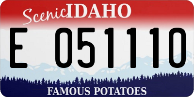ID license plate E051110