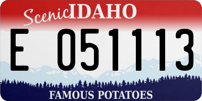 ID license plate E051113