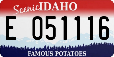ID license plate E051116