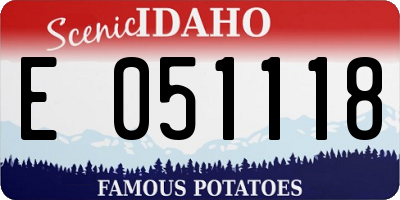 ID license plate E051118
