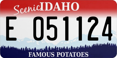 ID license plate E051124