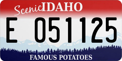 ID license plate E051125