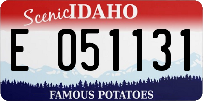 ID license plate E051131