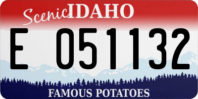 ID license plate E051132