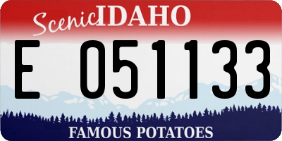 ID license plate E051133