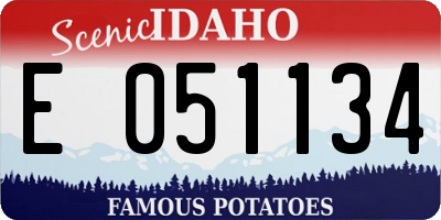 ID license plate E051134