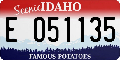ID license plate E051135