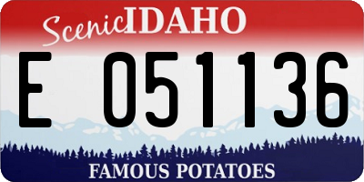 ID license plate E051136