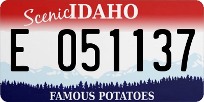 ID license plate E051137