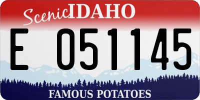ID license plate E051145