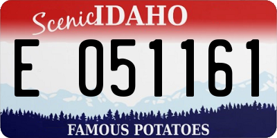 ID license plate E051161