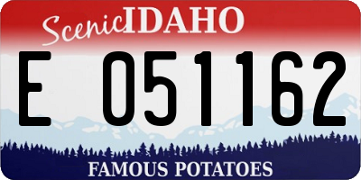 ID license plate E051162