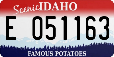 ID license plate E051163