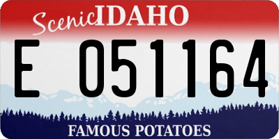 ID license plate E051164