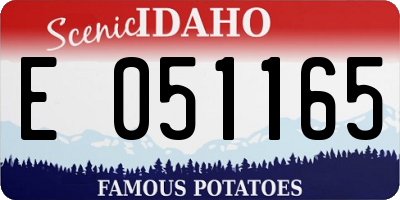 ID license plate E051165