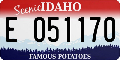 ID license plate E051170