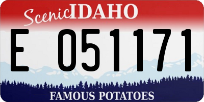 ID license plate E051171