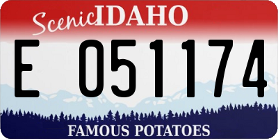 ID license plate E051174