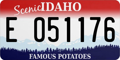 ID license plate E051176