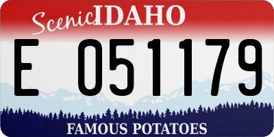 ID license plate E051179
