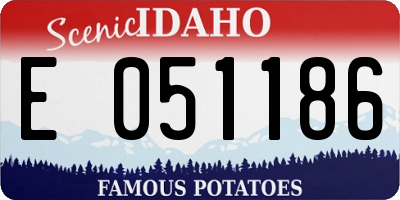 ID license plate E051186